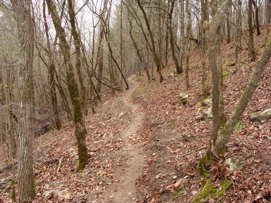 Cossatot Pic TT191 Single Track